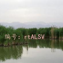Ӱ