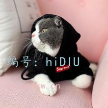 ̫