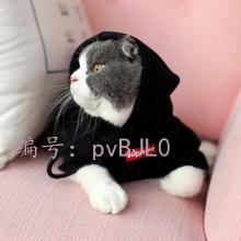 赸